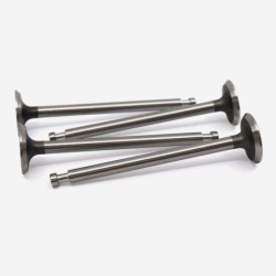 Exhaust Valve SET (Stainless Steel)