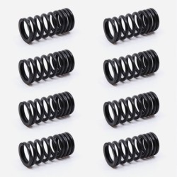 Valve Spring SET