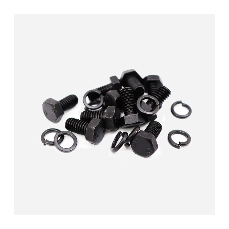 BOLT - set of 10 , axle cover , early cast type - MB (EC)